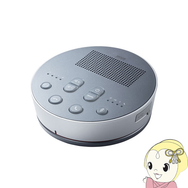 SONY ハンディカムHDR-SR11 バッテリー、テレビなどに繋ぐ配線など