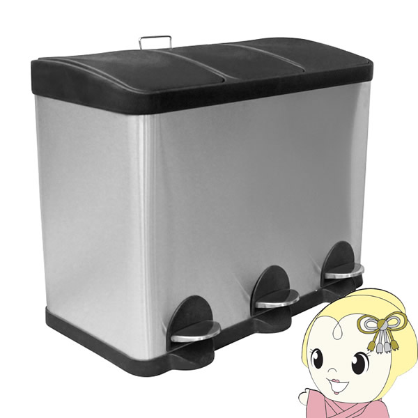 SunRuck ステンレスダストボックス SR-MHS292の通販は