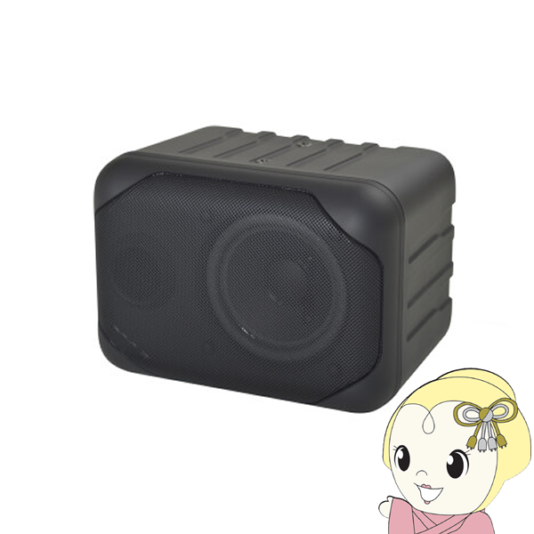 ハイレゾ対応スーパーツイーター(ペア) DigiFi 専用キャビネット入り