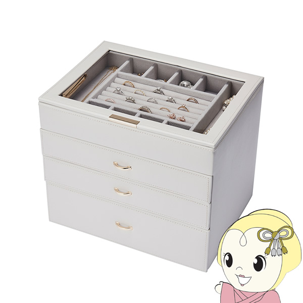 茶谷産業 FUN SCIENCE ジュエルケース 240-673の通販は