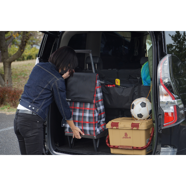 ショッピングカート ROLSER ロルサー 折り畳み キャリーカート BABY JOY PLEGAMATIC プレガマティック 40L スコティッシュBK 軽い おしゃれ_9