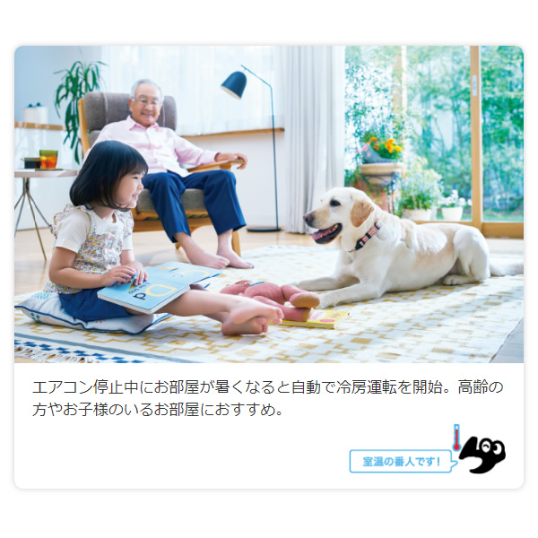 在庫限り　エアコン 18畳 三菱 霧ヶ峰 単相200V 5.6kw Rシリーズ 2023年モデル  ピュアホワイト MSZ-R5623-W　エアコンフィルター エアコン掃除