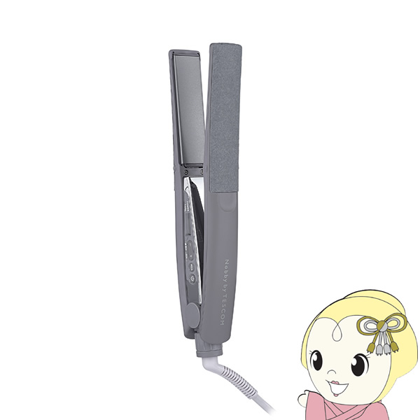 ストレートアイロン テスコム TESCOM プロフェッショナル プロテクトイオン スモーキーグレー NIS500A-H