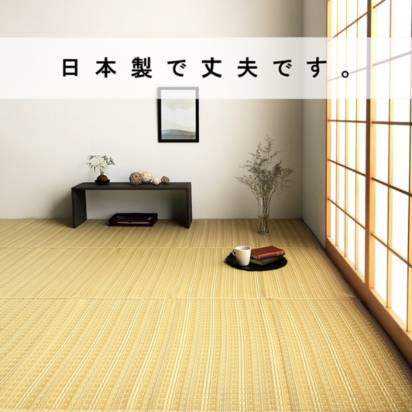 洗える カーペット ダイニング ラグ 敷詰 丈夫 日本製 国産 除菌スプレー対応 ござ アウトドア ペット グリーン 団地間8畳 約340×340cm_2