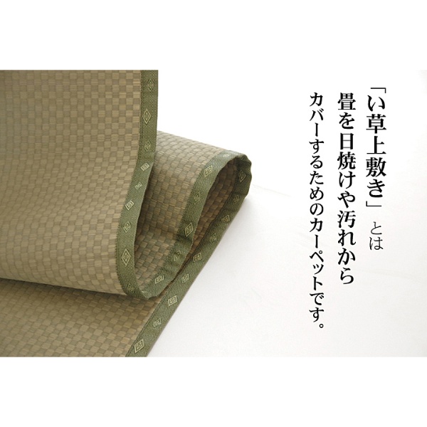 い草 上敷き カーペット 純国産 市松織 不知火 江戸間10畳 約440×352cm 熊本県八代産イ草使用_2