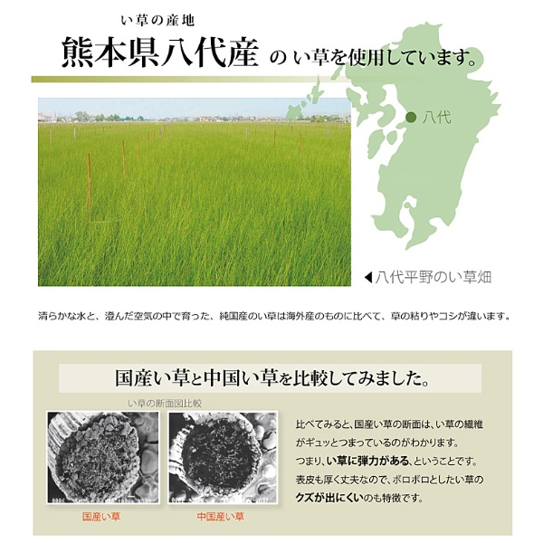い草 上敷き カーペット 純国産 市松織 不知火 江戸間10畳 約440×352cm 熊本県八代産イ草使用_5