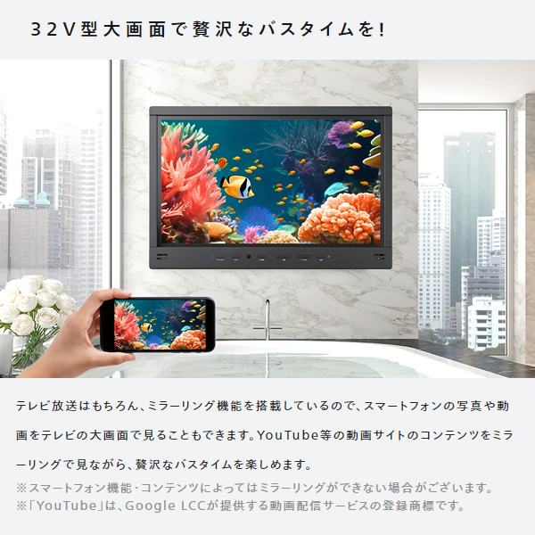テレビ ツインバード 浴室テレビ 32V型 地デジ・BS・110°CS フルHD 防水 液晶 VB-BB321G シャンパンゴールド_3