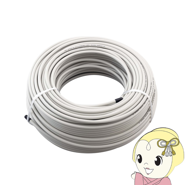 ラスカルと仲間たちの家族様！東京理工舎 RSA-20  リコースライダートランス ラスカルと仲間たちの家族様！東京理工舎 RSA-20 リコー