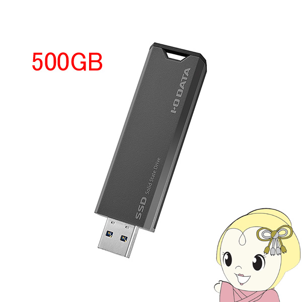 ⑪/㉟ 2点まとめ売り スティックSSD USB 10Gbps(USB 3.2 Gen2)対応 500GB アイ