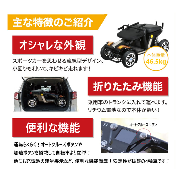 【メーカー直送】電動 シニアカー 電動カート SKJ  i-Walker II  アイーウォーカー2  SGB-002B_3