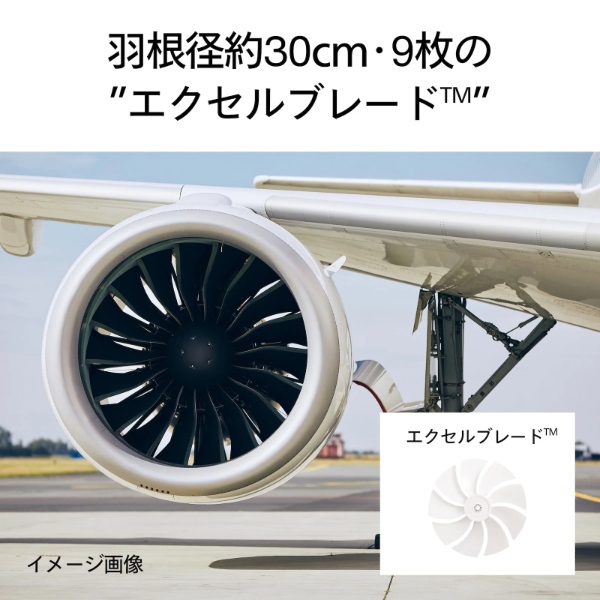 在庫あり　扇風機 ツインバード TWINBIRD サーキュレーション扇風機 DCモーター搭載 リモコン付き サーキュレーター 静音 ホワイト EF-E952W_2