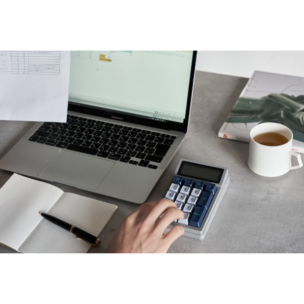 DENTEN 電卓テンキー 赤軸の通販は