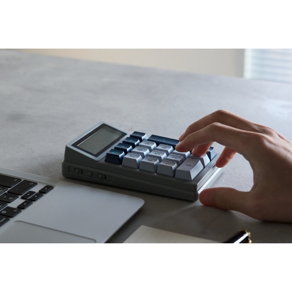 DENTEN 電卓テンキー 赤軸の通販は