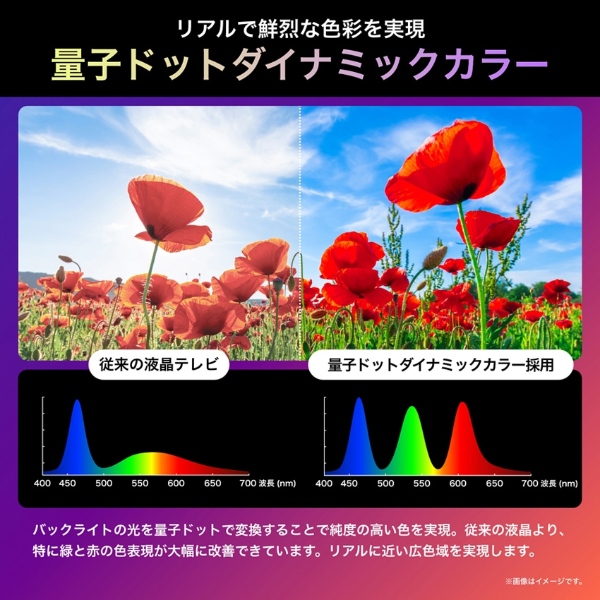 液晶テレビ 【設置込み】 ハイセンス Hisense 65U9N U9Nシリーズ 65型 地上・BS・110度CSデジタル 4K内蔵 Mini LED量子ドット_3