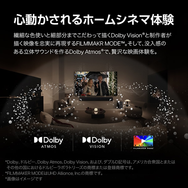 有機ELテレビ LGエレクトロニクス 48インチ 4K OLED C4 OLED48C4PJA_5