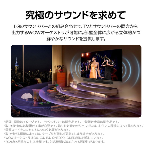 有機ELテレビ LGエレクトロニクス 48インチ 4K OLED C4 OLED48C4PJA_7