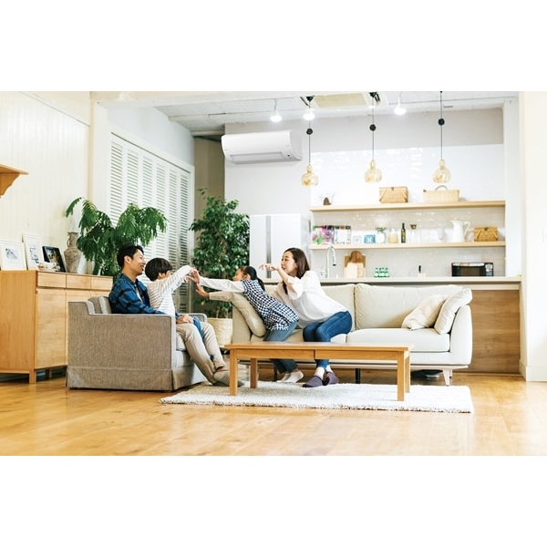 エアコン 標準工事費込 18畳 アイリスオーヤマ ルームエアコン クーラー 5.6kW 単相200V フィルター自動清掃 省エネ 冷暖房 IAF-5607M