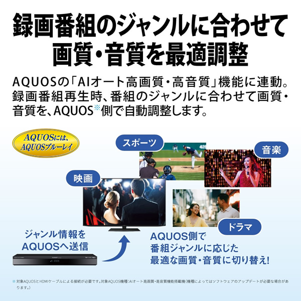 ブルーレイディスクレコーダー SHARP シャープ AQUOS アクオス 2TB 4Kチューナー内蔵 4Kレコーダー 4B-GT3シリーズ 4B-C20GT3