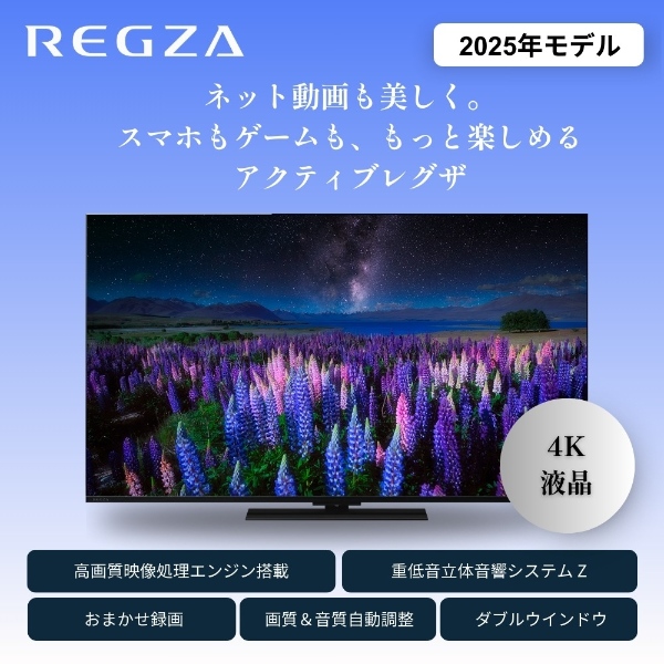 テレビ TVS REGZA 50V型 4Kチューナー内蔵 4K対応 液晶テレビ 4K 倍速 REGZA 50Z670R_1
