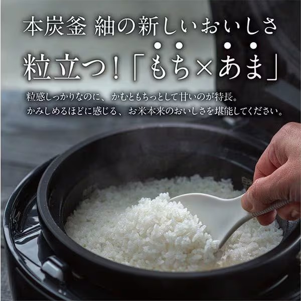 炊飯器 三菱電機 IHジャー炊飯器 5.5合炊き 本炭釜 紬 炭漆黒（すみしっこく） NJ-BW10H-B_3