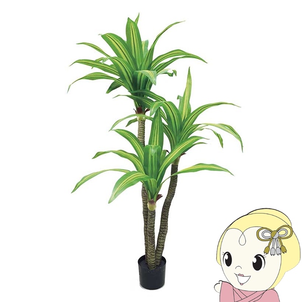 観葉植物 大型 フェイクグリーン 組立式 CT触媒 アーティフィシャルグリーン ドラセナ キシマ KH-61395