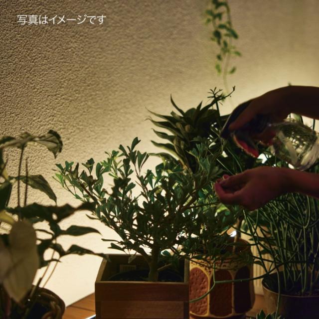 ひかりノベーション 憩いのひかり 基本セットLED ブラック 屋外 コネクター式 自動点灯 タイマー 足元 角度調整 ガーデンライト LGL-LH07P_14