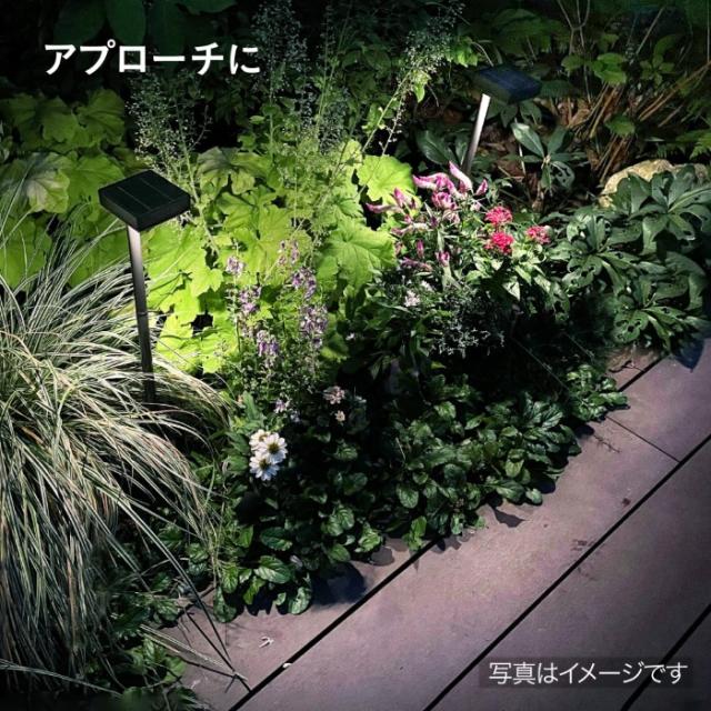ひかりノベーション SUNCHARGE サンチャージ 花のひかり 2個セット 置くだけ 太陽光 花壇 LGS-LH02P_11