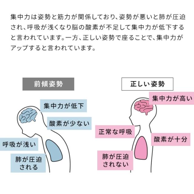 プロポーションチェア SOLA バランスチェア デスクチェア 姿勢改善 猫背矯正 勉強椅子 リビングチェア 学習チェア オフホワイト_10