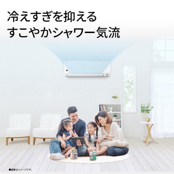 エアコン シャープ AY-U40DG2-W DGシリーズ 4.0kW 主に14畳 単相200V プラズマクラスター 内部清潔 省エネ 冷暖房 ホワイト_2