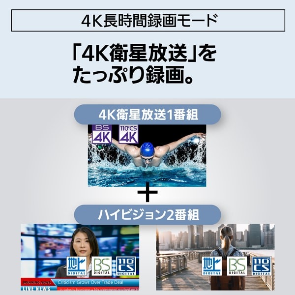 ブルーレイレコーダー パナソニック Panasonic DIGA ディーガ 2TB トリプルチューナー 4K放送1番組録画対応 DMR-4TS204S