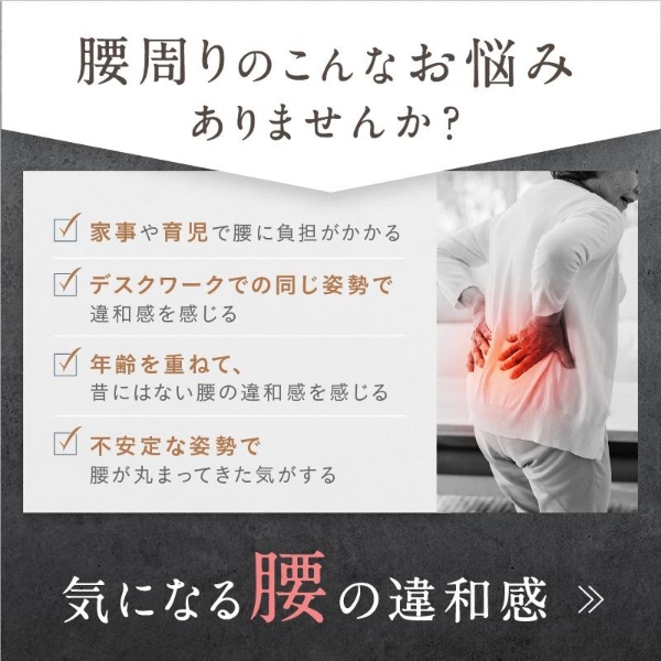 腰マッサージ機 腰ケア ストレッチャー EMS 温熱 牽引 NIPLUX WAISTUPREMS ウエスタプレミス 低周波 マッサージ器 NP-WR23_2