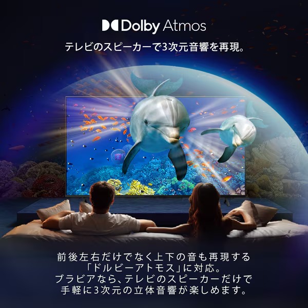 テレビ ソニー KJ-50X83L 50V型 4K液晶テレビ 高画質プロセッサーHDR X1搭載 BRAVIA 地デジ・BS・CSチューナー内蔵 Google TV Dolby Atmos対応_3