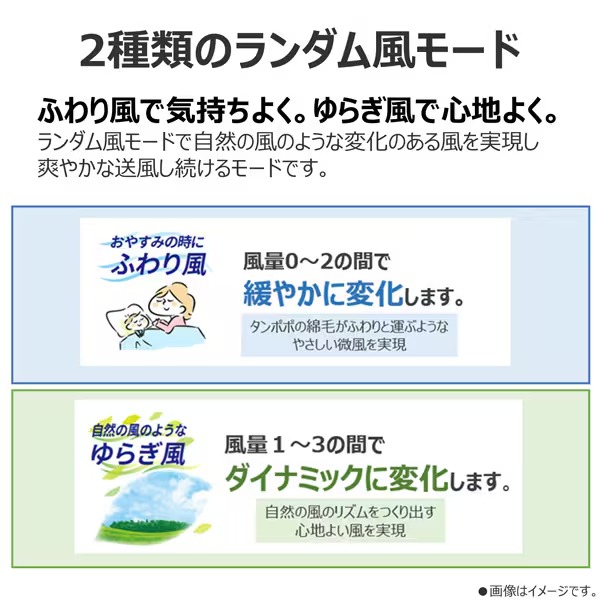 東芝 リビング扇風機 ACモーター搭載 TF-30AL29-W ホワイト_2