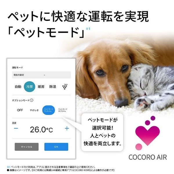 【工事込】エアコン シャープ AY-U22E-W Eシリーズ 2.2kW 主に6畳 単相100V プラズマクラスター スタンダード 冷暖房 ホワイト_10