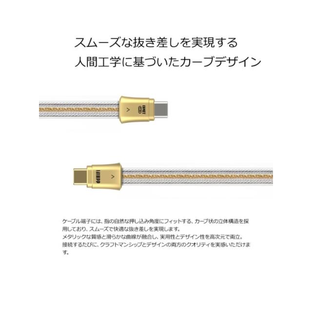 ddHiFi Gold シリーズ USB C to C OTGケーブル TC19CC Gold 100cmの