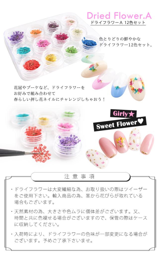 メール便 ドライフラワー A 12色セット ドライフラワー 押し花 押し花ネイル セルフネイル ジェルネイル フットネイル 夏 サマーの通販はau Pay マーケット プチプラ Au Pay マーケット店