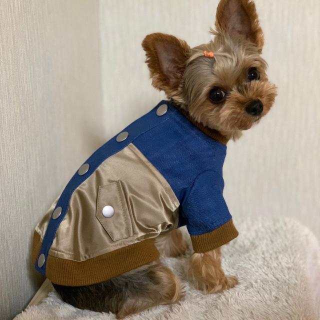 送料無料 ドッグウェア ブルゾン MA-1 犬服 小型犬 散歩着 チワワ トイプードル ダックス ペットウェア 可愛い デニム ベージュ ブルー カーキ ネイビー 抜け毛対策 汚れ防止 ブランド meagratia メアグラーティア 2024の通販は 送料無料 ドッグウェア ブルゾン MA-1 犬服 小型犬 散歩着 チワワ トイプードル ダックス ペットウェア 可愛い デニム ベージュ ブルー カーキ ネイビー 抜け毛対策 汚れ防止 ブランド meagratia メアグラーティア 2024の通販は