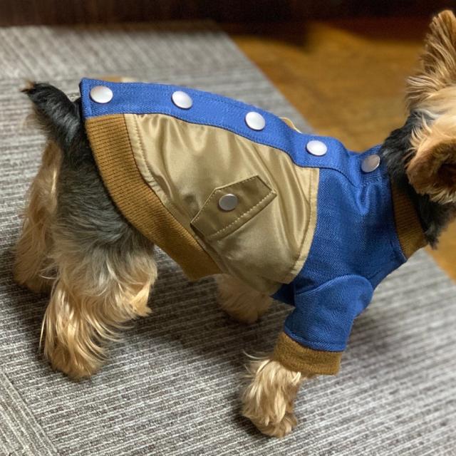 送料無料 ドッグウェア ブルゾン MA-1 犬服 小型犬 散歩着 チワワ トイプードル ダックス ペットウェア 可愛い デニム ベージュ ブルー カーキ ネイビー 抜け毛対策 汚れ防止 ブランド meagratia メアグラーティア 2024の通販は 送料無料 ドッグウェア ブルゾン MA-1 犬服 小型犬 散歩着 チワワ トイプードル ダックス ペットウェア 可愛い デニム ベージュ ブルー カーキ ネイビー 抜け毛対策 汚れ防止 ブランド meagratia メアグラーティア 2024の通販は