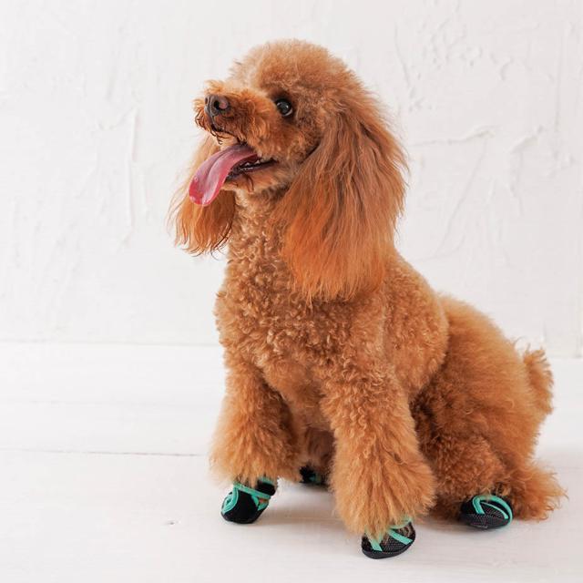 いぬたび　XS ピーチピンク ドッグシューズ　2セット Amazon.co.jp: 犬の靴 いぬたび 犬用靴 ピーチピンクXSサイズ 2