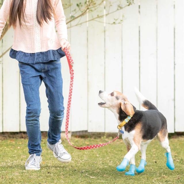 犬 靴 脱げない 履かせやすい 小型 散歩 パウテクト PAWTECT 犬靴