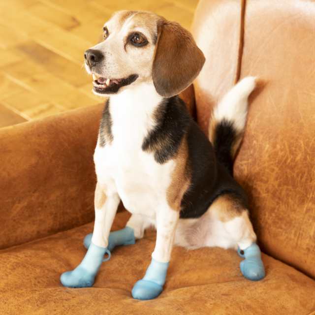pawtect パウテクト　犬の靴　Mサイズ