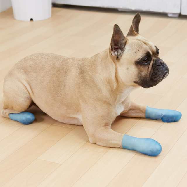 犬 靴 脱げない 履かせやすい くつ 小型 散歩 パウテクト PAWTECT 犬靴