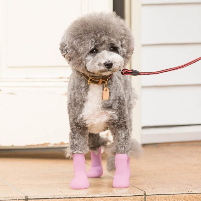 犬 靴 脱げない 履かせやすい 小型 散歩 パウテクト PAWTECT 犬