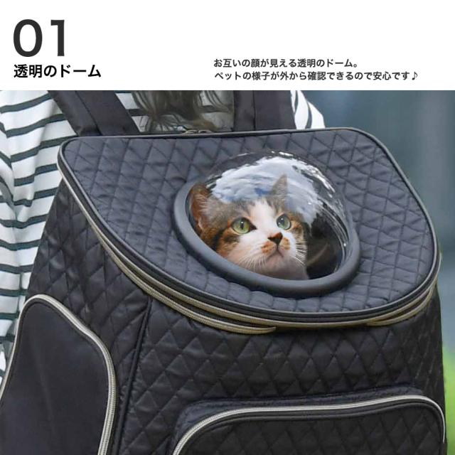 【訳あり】ペット用キャリーバッグ 透明 黒 リュック ペット お出かけ 散歩 ペットバッグ ペットキャリー キャリーバッグ リュック型 犬猫用