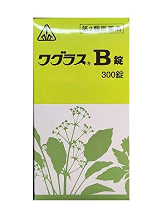 【第2類医薬品】即発送　300錠ｘ8　特典付　剤盛堂薬品　ホノミ漢方【送料無料】ワグラス　B錠　300錠ｘ8　わぐらすの通販は