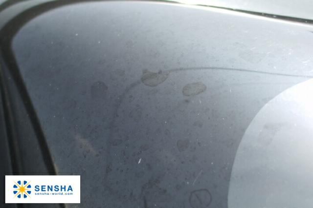 プラポリッシュset プラスチッククリーナー コンパウンド研磨剤 プラスチックコンパウンド プラスチックポリッシュ ヘッドライト 曇りの通販はau Pay マーケット 洗車の王国