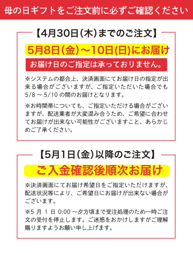 【正規取扱店】リファフィンガーアイロン ST 6（シャンパンゴールド）新生活 母の日 ReFa FINGER IRON ST 6 ヘアアイロン ミニ ストレートアイロン 充電式 クリスマス プレゼント ギフト 贈り物 ティーライフ 母の日_bc_11