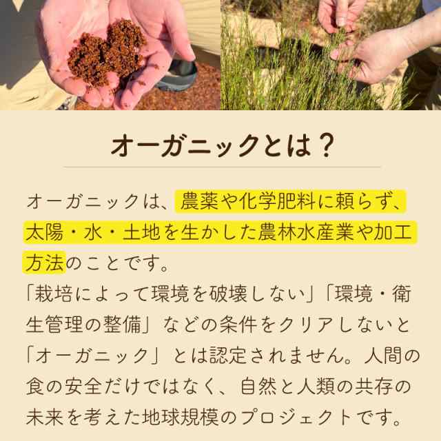 お茶 安い パック 安全