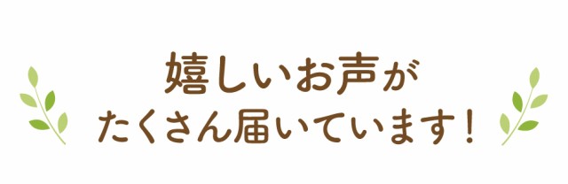 どくだみたんぽぽ茶 ポット用30個入 (送料無料 ノンカフェイン たんぽぽ茶 タンポポ茶 どくだみ茶 母乳 妊娠 妊婦 授乳 母乳 ママ ティーの通販はau  PAY マーケット - ティーライフ 美容茶・健康茶