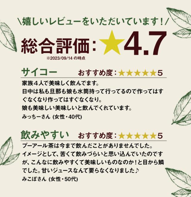 スッキリプーアール茶 ポット用90個入 (W焙煎 重合カテキン 没食子酸 カリウム 蒸気殺菌 健康茶 置き換え プーアル茶 プアール茶 雲南 中国茶 静岡 ティーバッグ ティーパック)《ティーライフ》_3